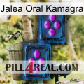 Oral Jelly Kamagra 03